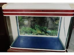Fish Acquarium - Image 5