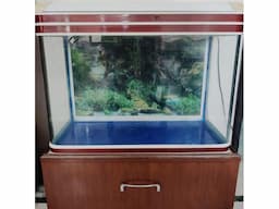 Fish Acquarium - Image 6