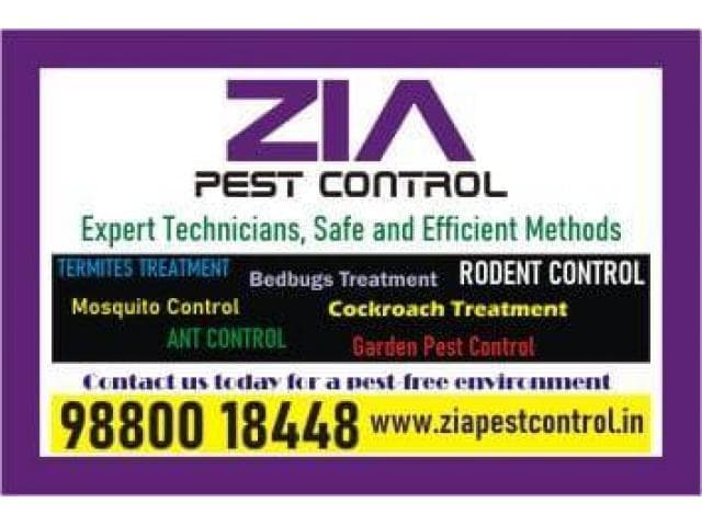 Zia Pest