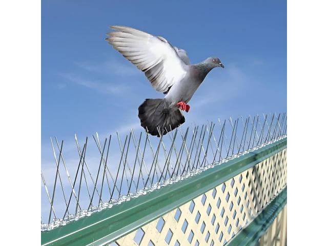 Bird Netting Services in Delhi & Bird Control Solutions