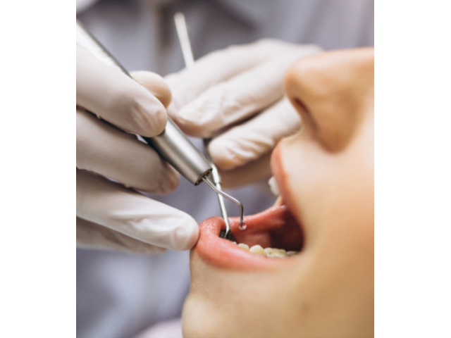 ONE DENTALL DENTAL SERVICE (BELAGAVI)