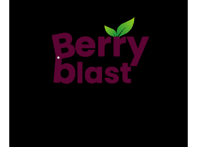 Berry Blast Media - Digital Marketing Agency in Mumbai | PPC | Social Media Marketing | SEO