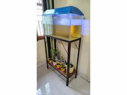 Aquarium with all required accessories (complete package) - Image 1
