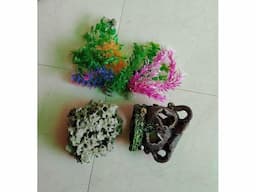 Aquarium with all required accessories (complete package) - Image 2