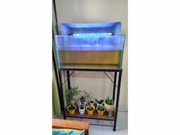 Aquarium with all required accessories (complete package) - Image 3