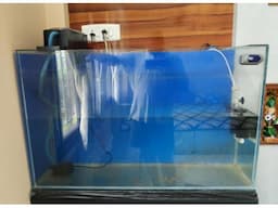 Aquarium with filter and other accessories - Image 1