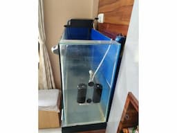 Aquarium with filter and other accessories - Image 2