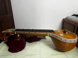 LEFT HAND VEENA - Image 1
