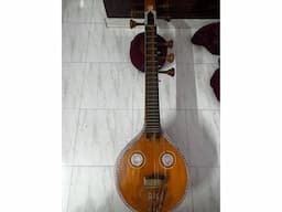 LEFT HAND VEENA - Image 3