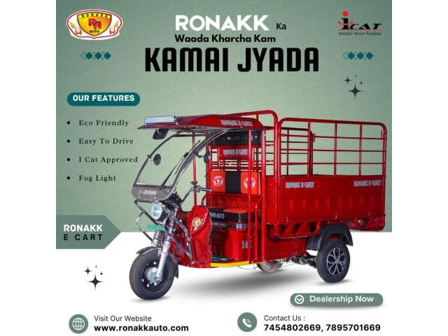 auto rickshaw in udaipur