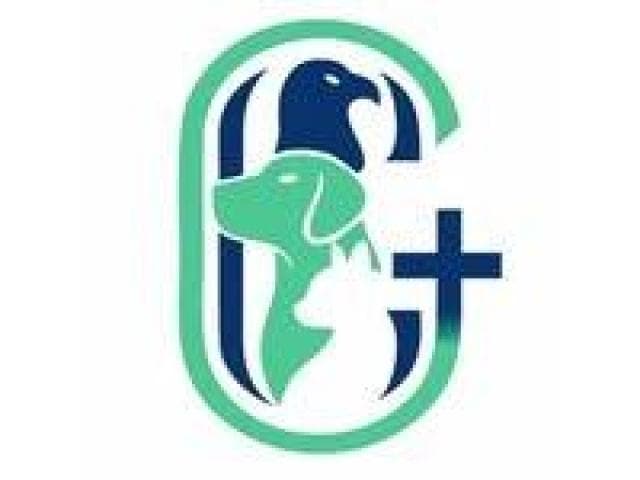 Keeping Your Dog Healthy with Professional Veterinary Care