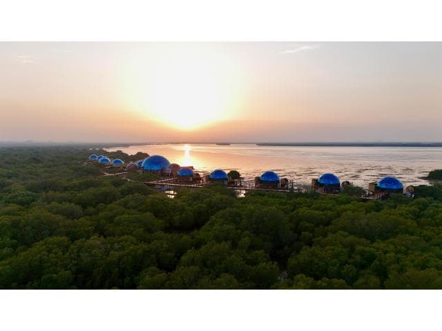 Top 10 Luxury Hotels in Dubai | Dubai Mangrove Resort Price