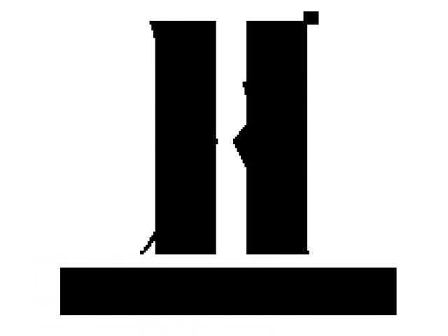 HashRoot is a leading AI services and  IT services company