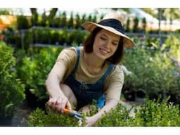 Lawn Mowing Services Melbourne & Lawn Mowing in Melbourne - I love gardening - Image 1