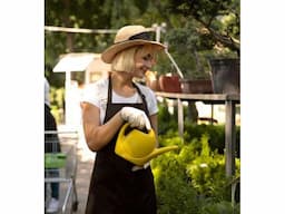Lawn Mowing Services Melbourne & Lawn Mowing in Melbourne - I love gardening - Image 2