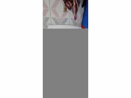 Bajaj Air Cooler - Image 4