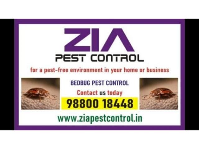 Bedbug Treatment: We provide thorough and effective bedbug treatments that target these nocturnal pe