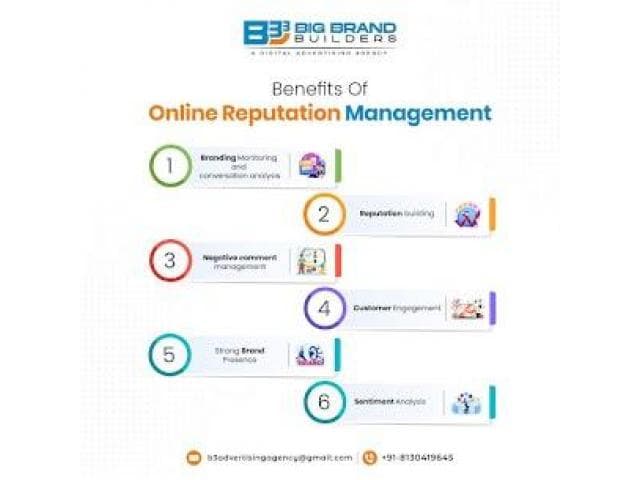 Online Reputation Management Services in Delhi