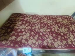 Mattress for Sale - Moving Out Sale! - Image 4