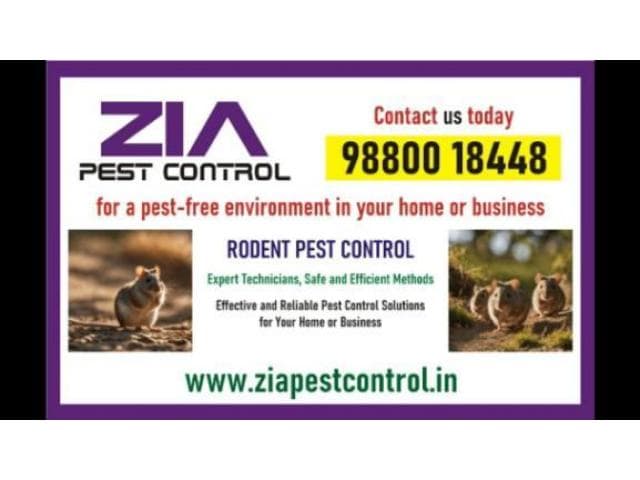 AD TITLE / HEADING	Bangalore Rodent Control | Safe & Effective Pest Control | Book Now  | 297
