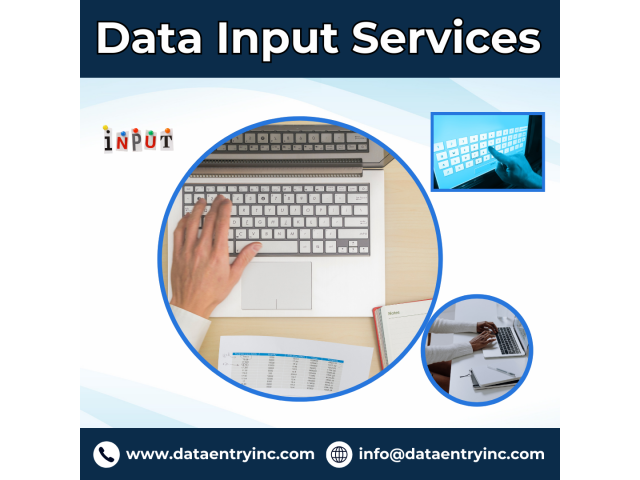 Best Data Input Services in India