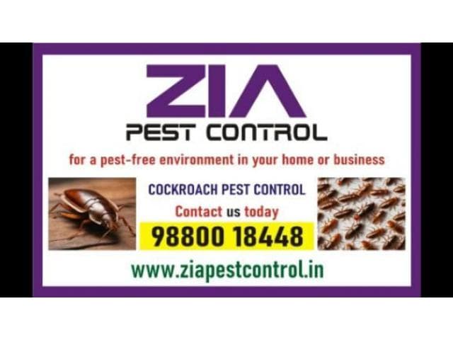 Cockroach Pest Control / Bed Bug Control / Termite Treatment / Call Now / 297