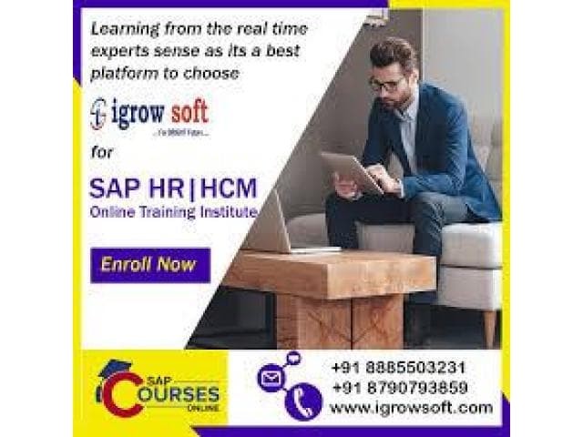 SAP HR Online Training in Hyderabad | Igrowsoft