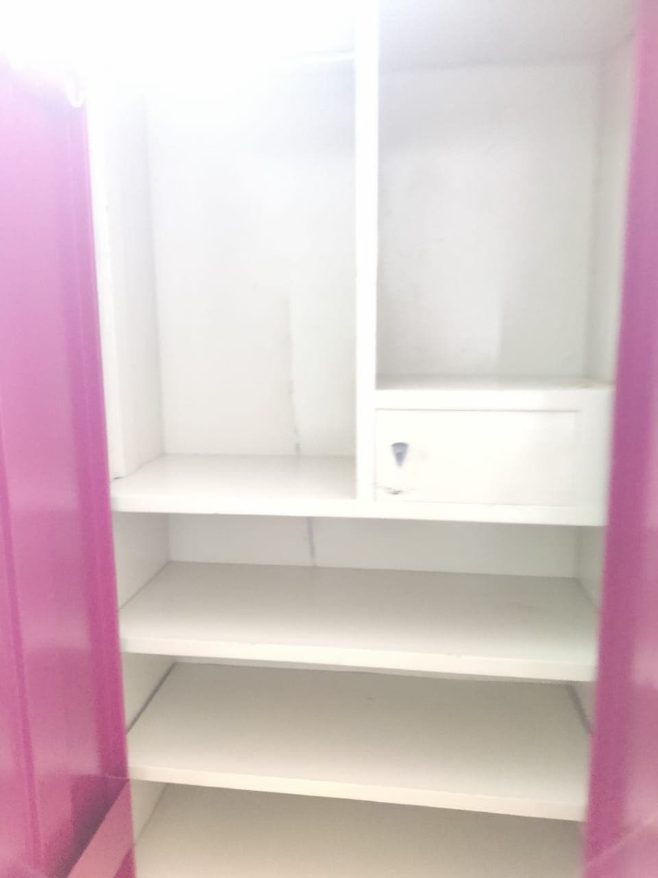 StorEase 2-Door Steel Locker Almirah | Pink | Excellent Condition | 2 Years Old