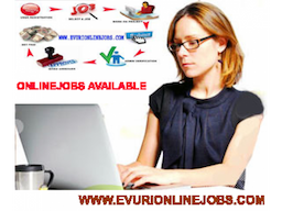 Guaranteed Income Data Entry with Bonus Free Jobs Pack - Image 1