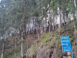 Mega Project-Plot For Sale Vilpatti at Kodaikanal - Image 3