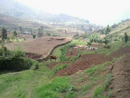 Mega Project-Plot For Sale Vilpatti at Kodaikanal - Image 4