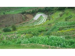 DTCP approved plots for a mega sale at vilpatti kodaikanal - Image 4