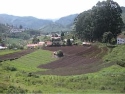 Best Hillview Plots for Sale with Loan arrangements at Kodaikanal - Image 3
