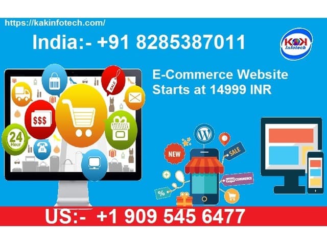 Ecommerce Website Available at very low price in Delhi