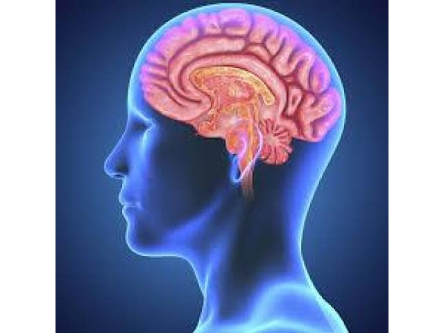 The Fight Against brain solution