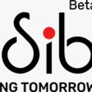 Sibinsure